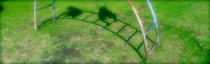 DSCN7286